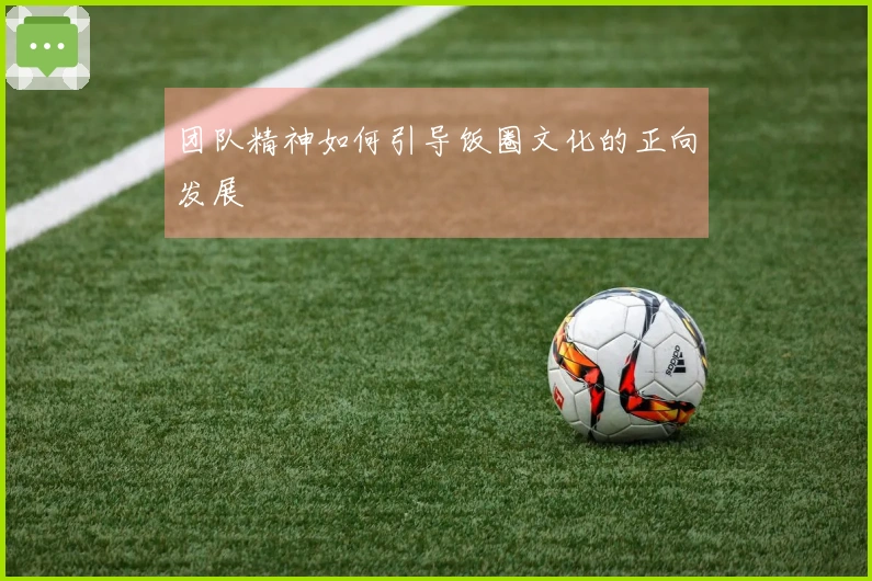 团队精神如何引导饭圈文化的正向发展