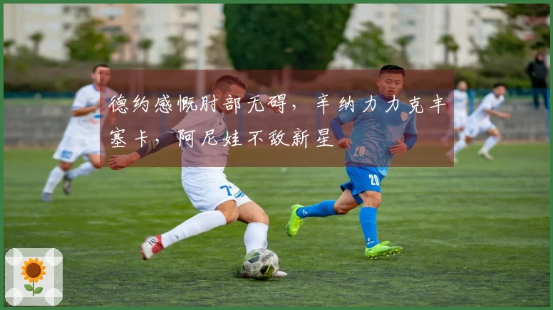 德约感慨肘部无碍，辛纳力力克丰塞卡，阿尼娃不敌新星