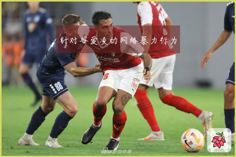 针对谷爱凌的网络暴力行为