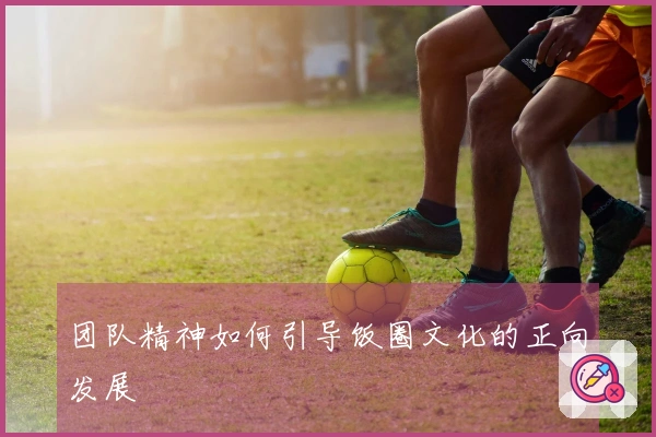 团队精神如何引导饭圈文化的正向发展