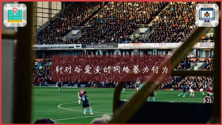 针对谷爱凌的网络暴力行为